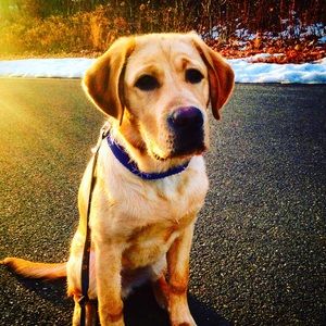 Meet your Posher, Noah